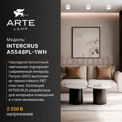 Светильники точечные накладные со сменной лампой Arte Lamp A5548PL-1WH INTERCRUS