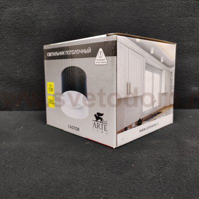 Потолочный светильник Arte Lamp A5554PL-1WH CASTOR