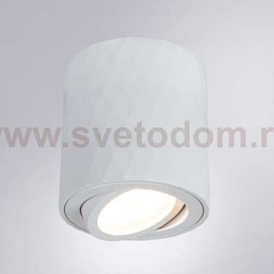 Светильник потолочный Arte lamp A5559PL-1WH FANG