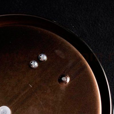 Светильник круглый 290мм Arte Lamp A6047PL-3AB AQUA-TABLET IP44 бронза