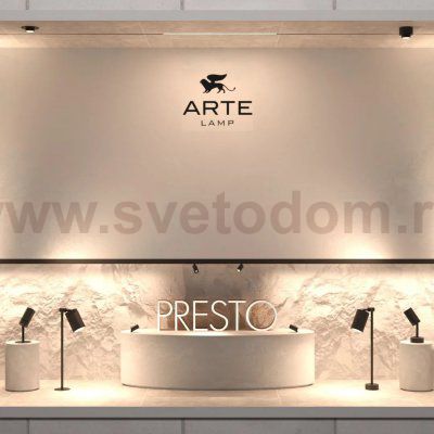 Светильники накладные Arte Lamp A6182PL-1BK PRESTO
