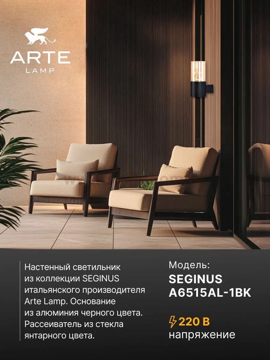 Уличный светильник Arte Lamp A6515AL-1BK SEGINUS