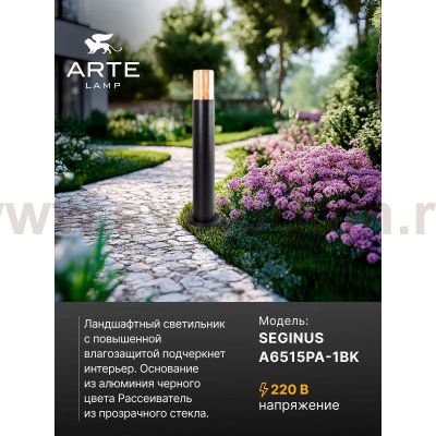 Уличный светильник Arte Lamp A6515PA-1BK SEGINUS