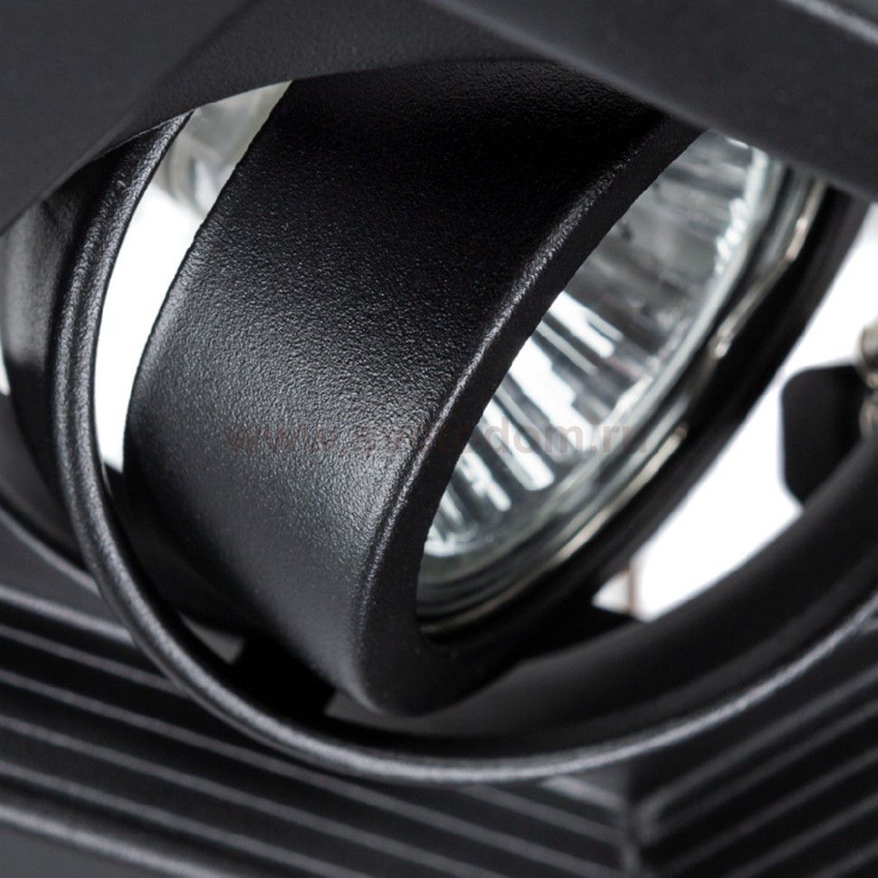 Светильник потолочный Arte lamp A6661PL-1BK CANIS