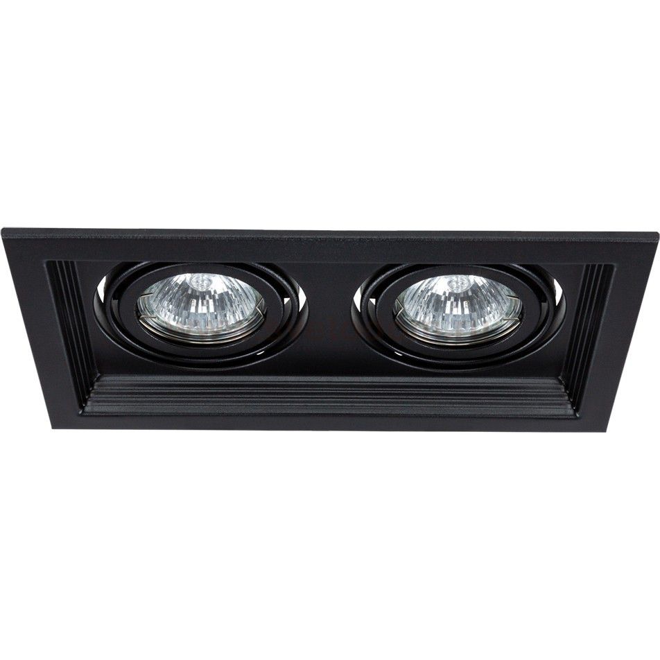 Светильник потолочный Arte lamp A6661PL-2BK CANIS