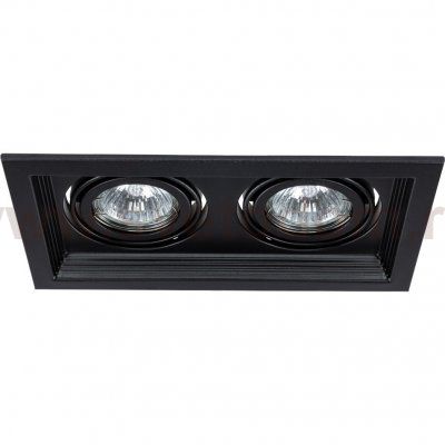 Светильник потолочный Arte lamp A6661PL-2BK CANIS