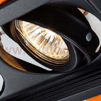 Светильник потолочный Arte lamp A6661PL-2BK CANIS