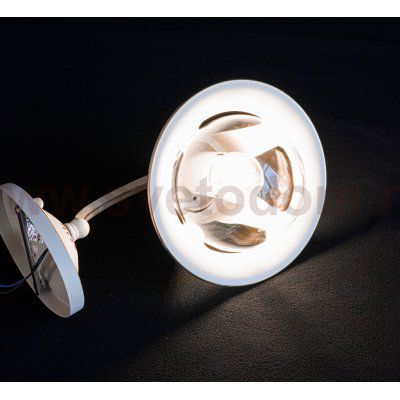 Светильник бра Arte Lamp A7022AP-1WG MARINO