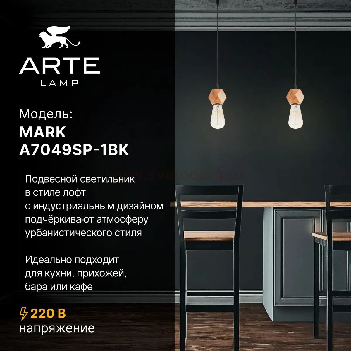Светильник подвесной Arte Lamp A7049SP-1BK MARK