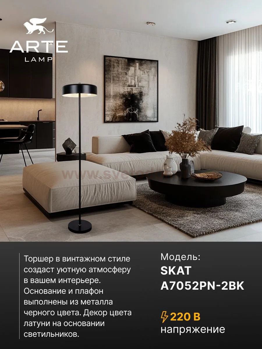 Торшер напольный Arte Lamp A7052PN-2BK SKAT