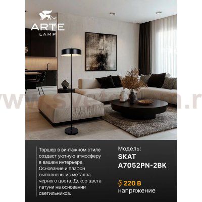 Торшер напольный Arte Lamp A7052PN-2BK SKAT