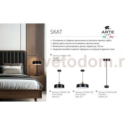 Торшер напольный Arte Lamp A7052PN-2BK SKAT