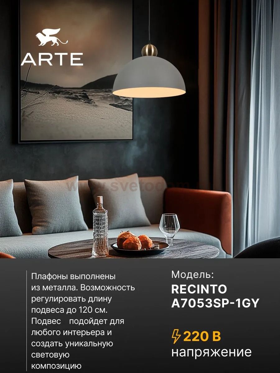 Светильник подвесной Arte Lamp A7053SP-1GY RECINTO