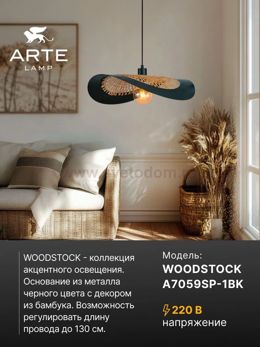 Светильник подвесной Arte Lamp A7059SP-1BK WOODSTOCK