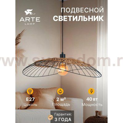 Светильник подвесной Arte Lamp A7061SP-1BK WOODSTOCK