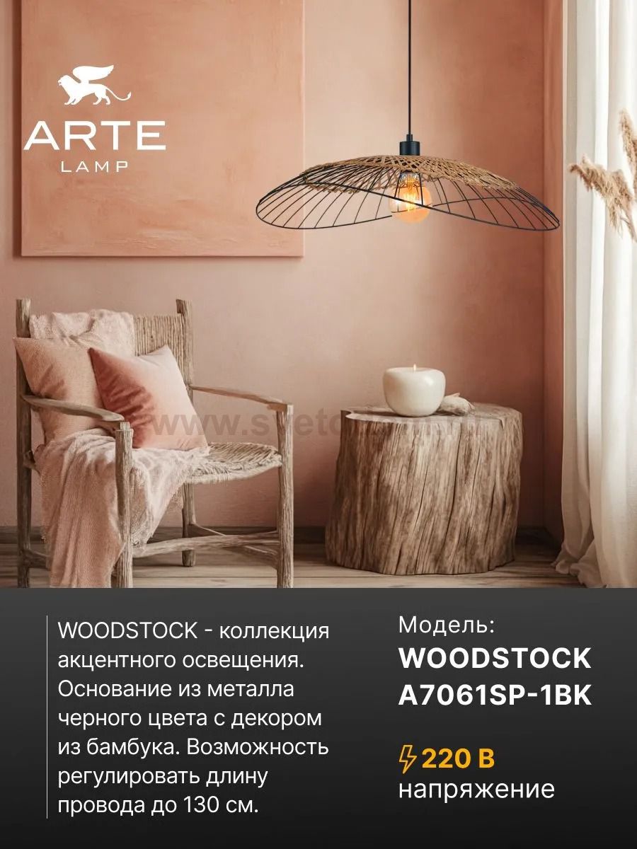 Светильник подвесной Arte Lamp A7061SP-1BK WOODSTOCK