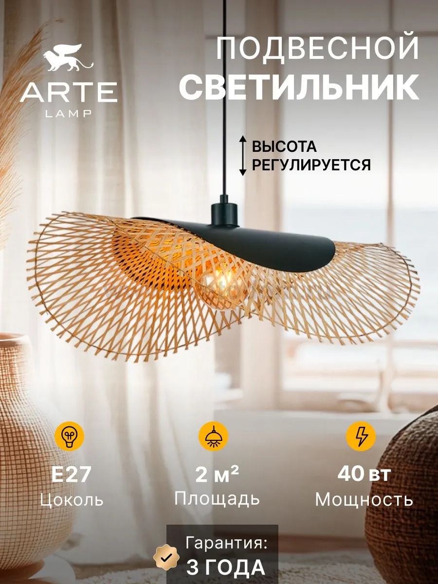 Светильник подвесной Arte Lamp A7063SP-1BK WOODSTOCK