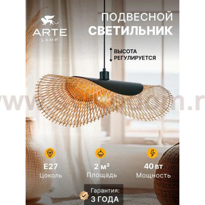 Светильник подвесной Arte Lamp A7063SP-1BK WOODSTOCK