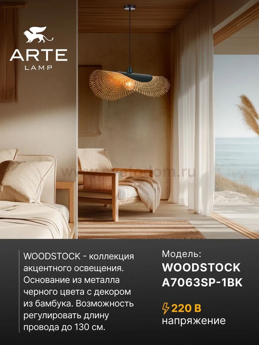 Светильник подвесной Arte Lamp A7063SP-1BK WOODSTOCK