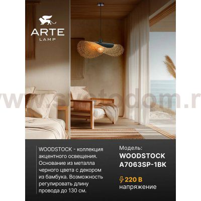Светильник подвесной Arte Lamp A7063SP-1BK WOODSTOCK