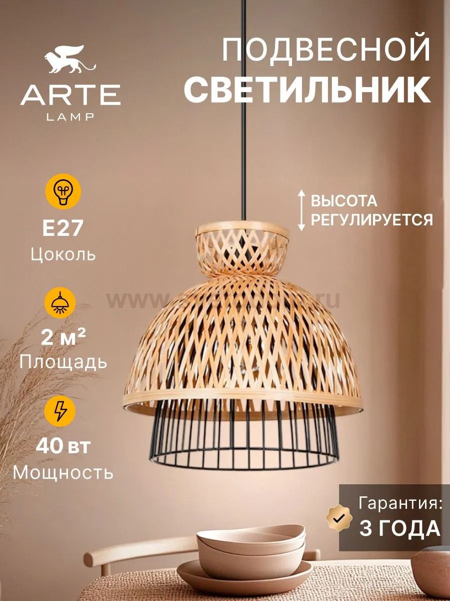 Светильник подвесной Arte Lamp A7070SP-1BK WOODSTOCK
