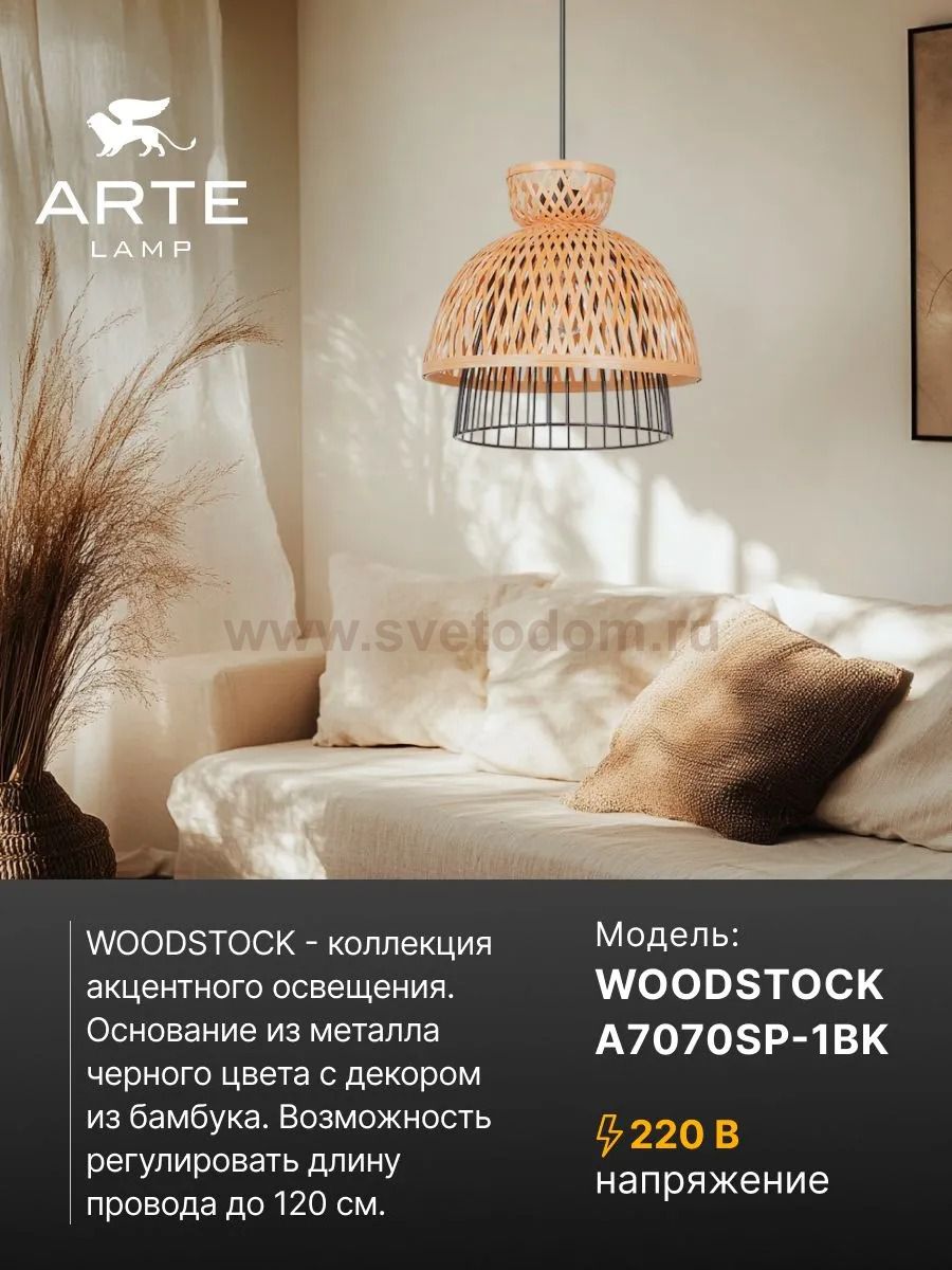 Светильник подвесной Arte Lamp A7070SP-1BK WOODSTOCK