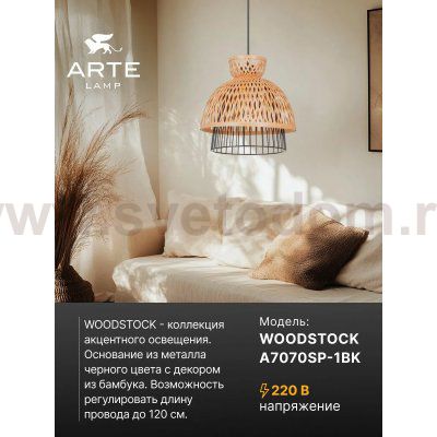 Светильник подвесной Arte Lamp A7070SP-1BK WOODSTOCK