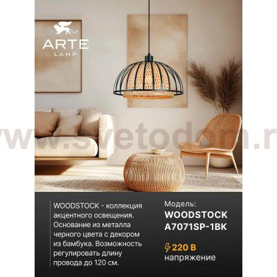 Светильник подвесной Arte Lamp A7071SP-1BK WOODSTOCK