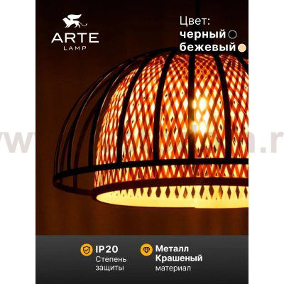 Светильник подвесной Arte Lamp A7071SP-1BK WOODSTOCK