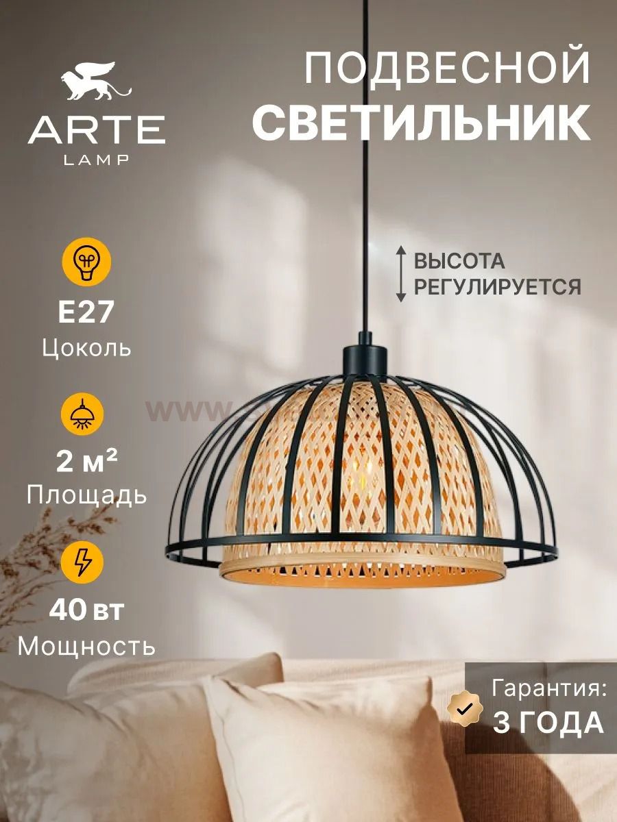 Светильник подвесной Arte Lamp A7071SP-1BK WOODSTOCK