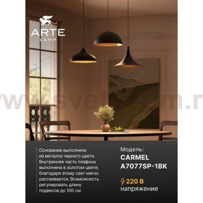 Подвес Arte Lamp A7077SP-1BK CARMEL