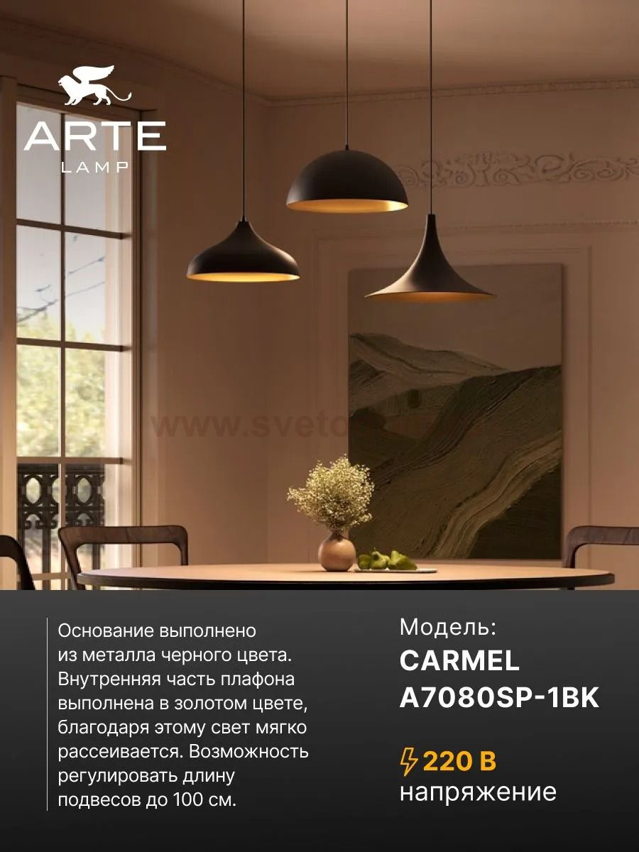 Подвес Arte Lamp A7080SP-1BK CARMEL