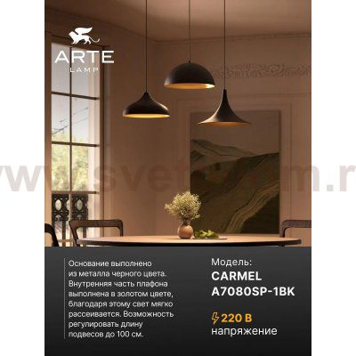 Подвес Arte Lamp A7080SP-1BK CARMEL