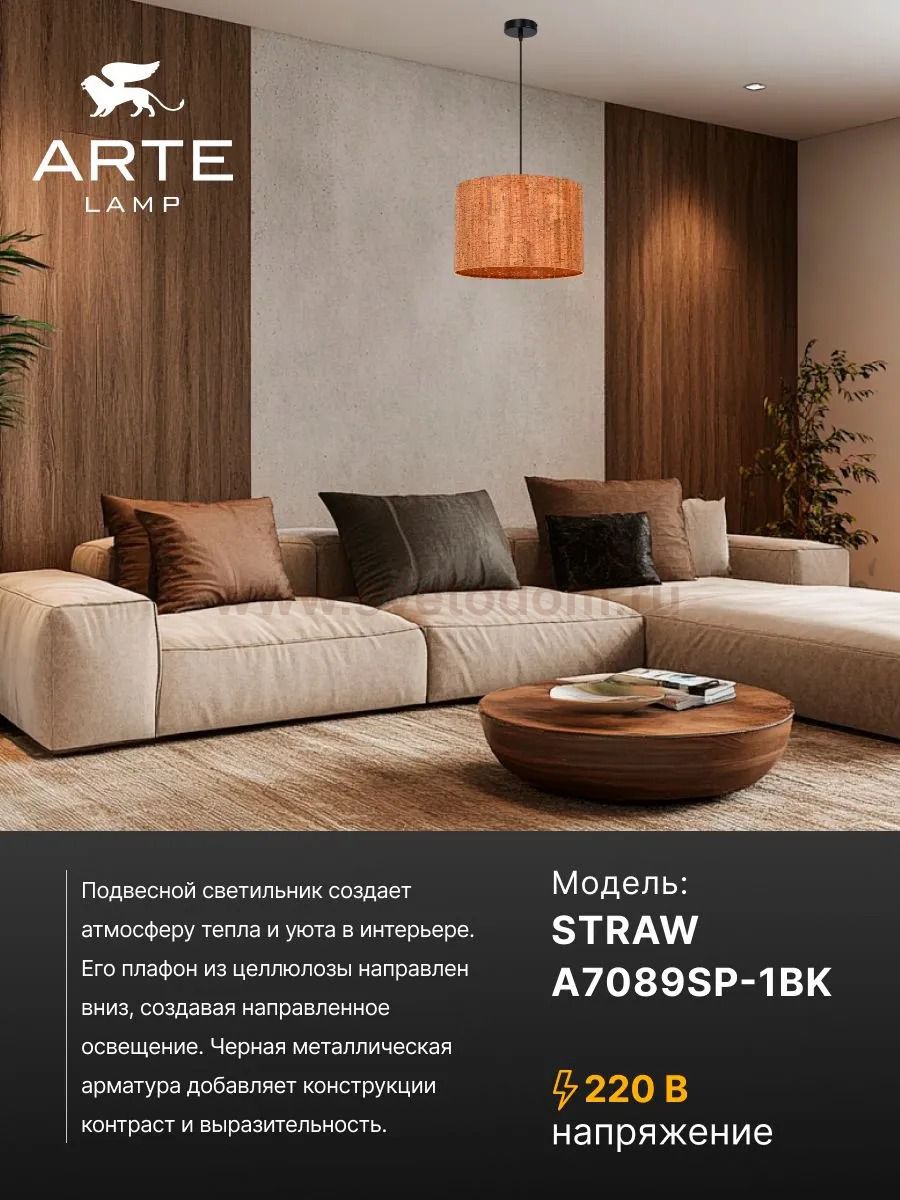Arte lamp A7089SP-1BK STRAW