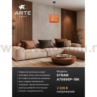 Arte lamp A7089SP-1BK STRAW