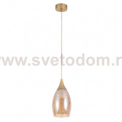 Светильник подвесной с лампочками LED Svetodom 3127762