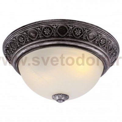 Потолочный светильник Arte lamp A8009PL-2SB Piatti