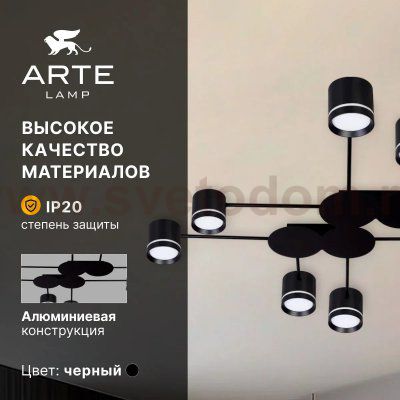 Потолочная люстра Arte Lamp A8024PL-8BK LEGACY