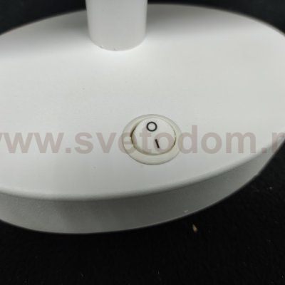 Светильник для картин с выключателем Arte lamp A8025AP-1WH белый RONNIE