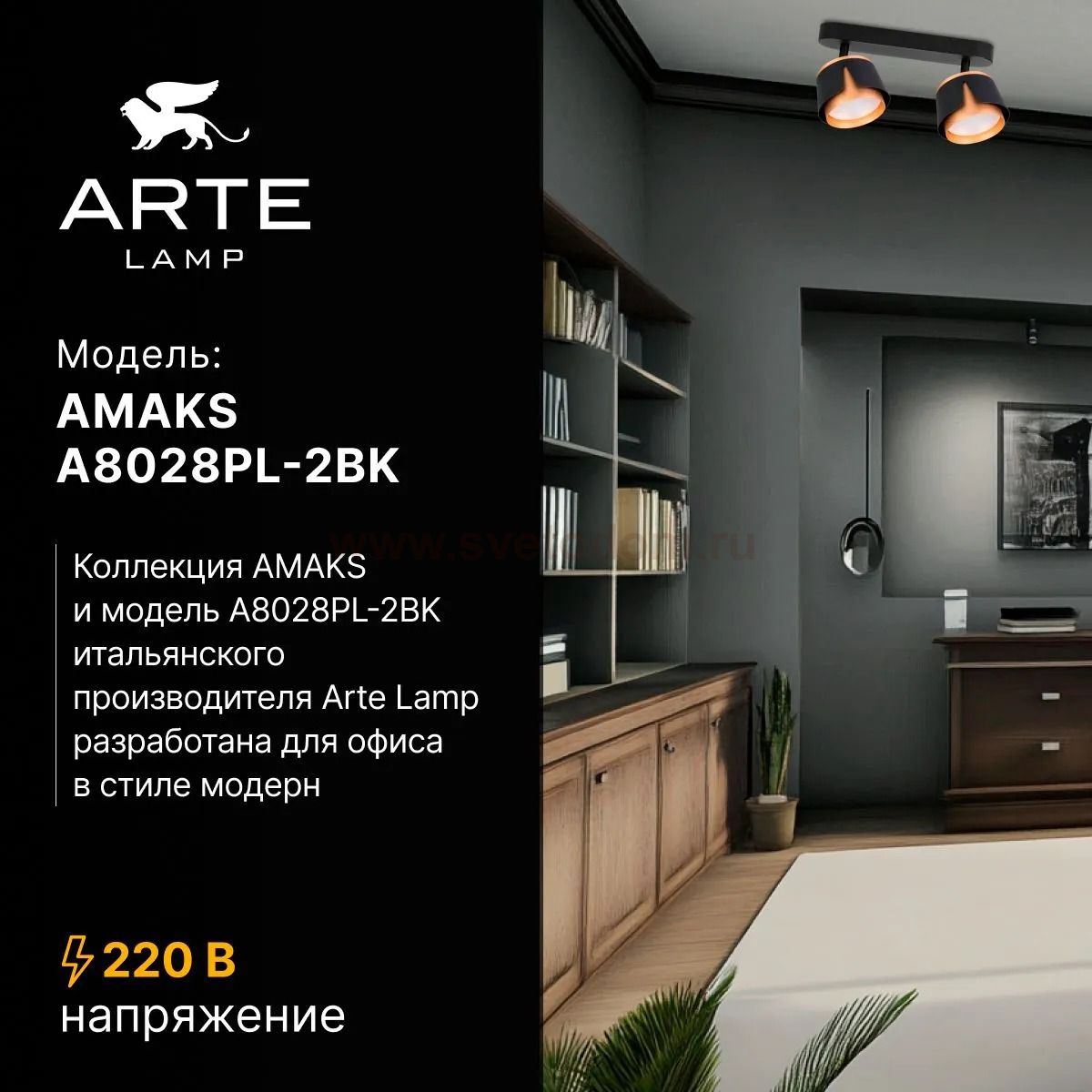 Накладной светильник спот Arte Lamp A8028PL-2BK AMAKS