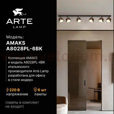 Накладной светильник спот Arte Lamp A8028PL-6BK AMAKS