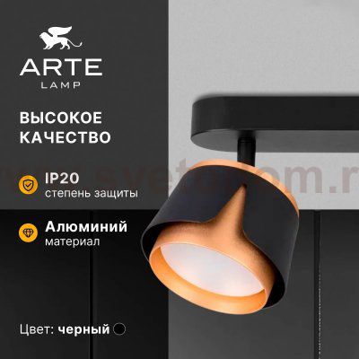 Накладной светильник спот Arte Lamp A8028PL-6BK AMAKS