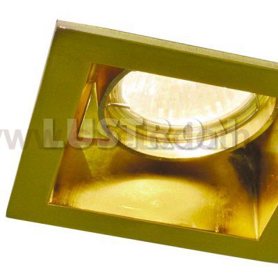 Светильник потолочный поворотный Arte lamp A8050PL-1GO TECHNIKA