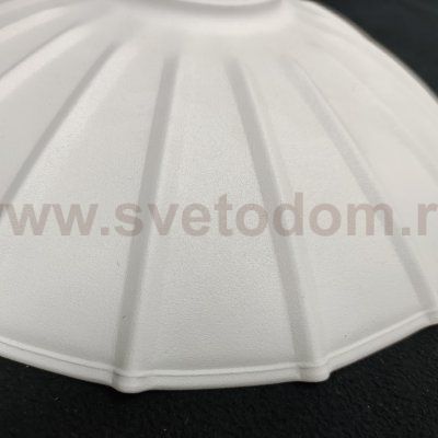 Светильник настенный Arte lamp A8160AP-1GY ASTI