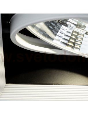 Светильник потолочный Arte lamp A8450PL-1WH MERGA