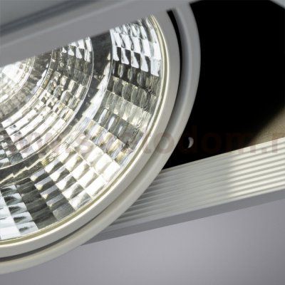 Светильник потолочный Arte lamp A8450PL-2WH MERGA