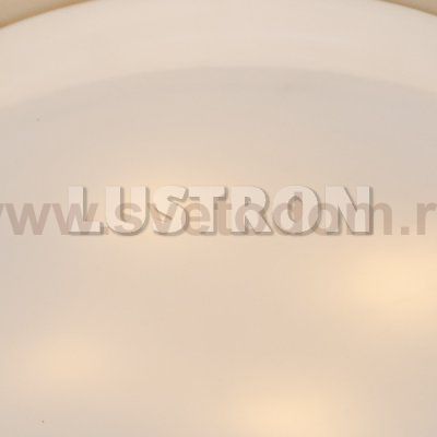 Светильник потолочный Arte lamp A8510PL-4SS AQUA