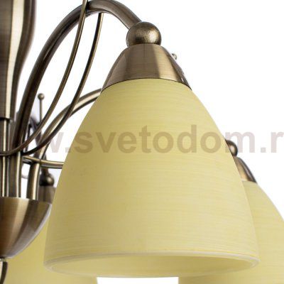 Светильник подвесной Arte lamp A8612LM-5AB PANNA
