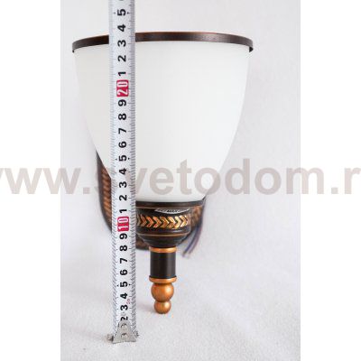 Светильник настенный Arte lamp A9518AP-1BA Bonito