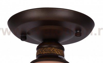 Светильник потолочный Arte lamp A9518PL-1BA Bonito